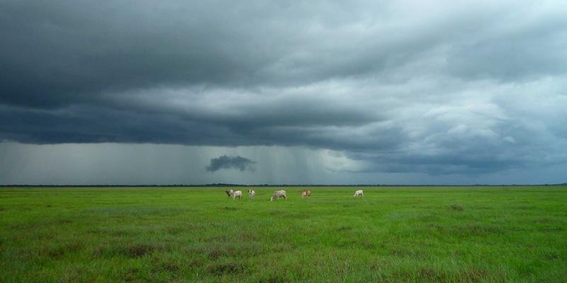 SMT卡如何赋能Mini LED巨量转移?高速点位计算与路径规划是关键