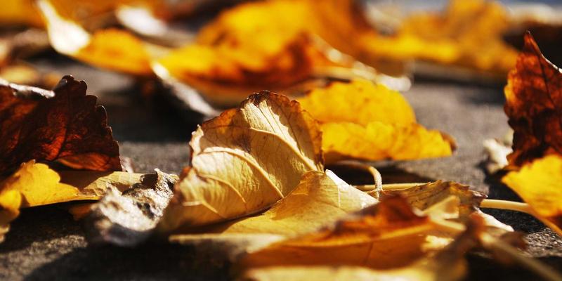 SMT设备升级指南：选对卡板，让回流焊与印刷机效率飙升30%