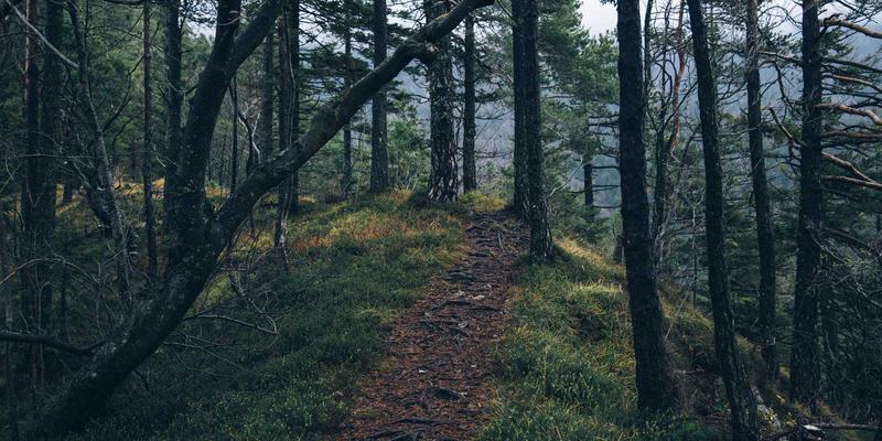 高速贴片机的“神经中枢”：深度解析SMT卡的信号同步与抖动控制核心技术